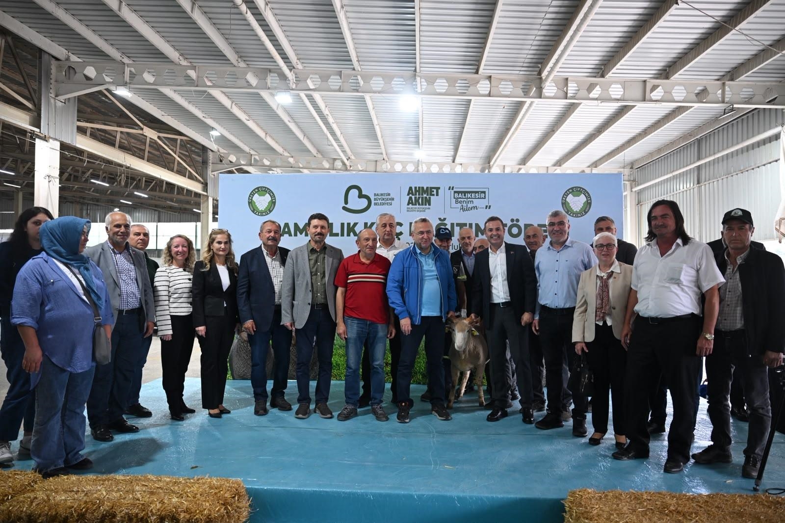 Balıkesir Metropolitan Municipality Donates 47 Breeding Rams to Producers in Susurluk