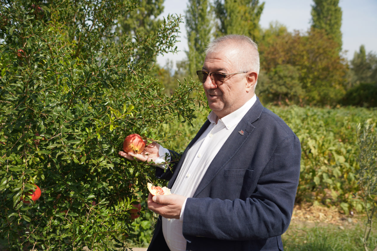 Edremit Municipality Produces 137 Types of Heirloom Seeds