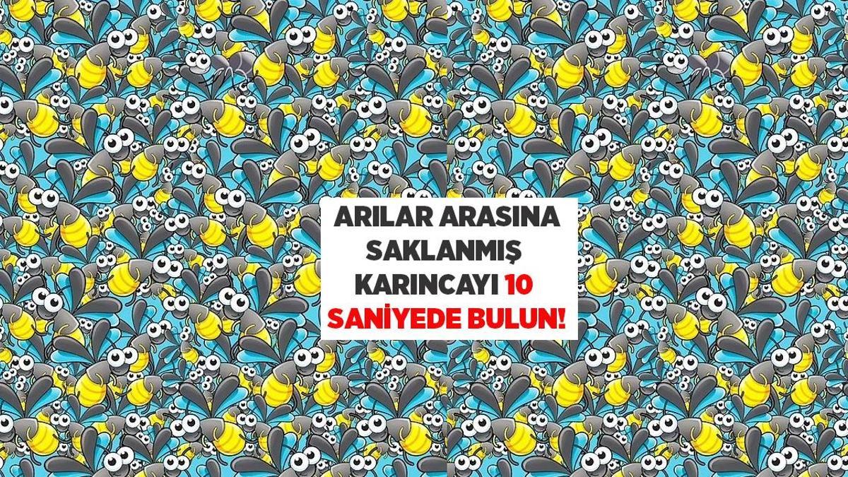 Arılar arasında saklanmış bir karınca var, 10 saniyede bulabilir misiniz?