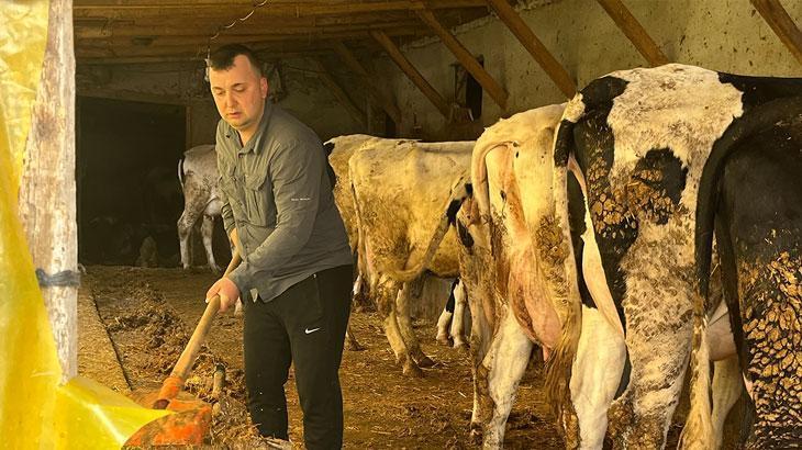Devlet desteğiyle gelen başarı: 5 büyükbaş hayvanı 86'ya çıkardı