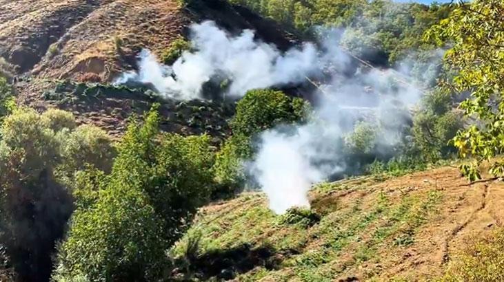 Diyarbakır'da 7 milyon 543 bin kök kenevir ve skunk ele geçirildi