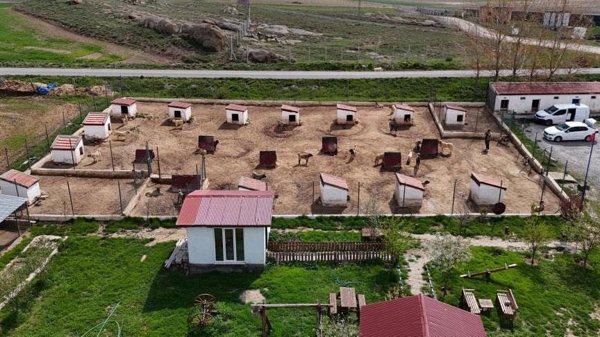 Dünyada eşi benzeri yok! Ünü ülke sınırlarını aştı: Suudi Arabistan, Katar, BAE peşinde...