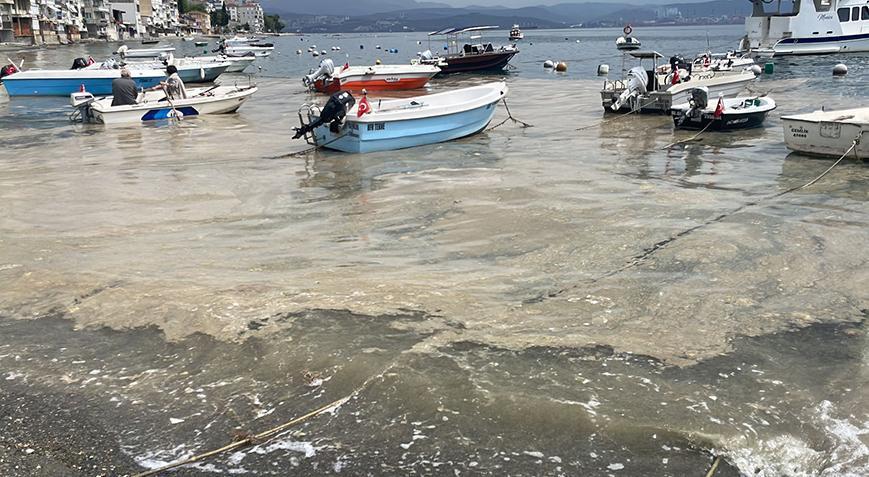 Kabus geri mi dönüyor? Marmara Denizi'nde korkutan görüntü