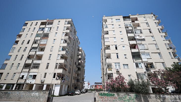 Siteye giren maymun 'Hayri' için kafesli operasyon! Evlere iniyor, ne bulursa yiyor